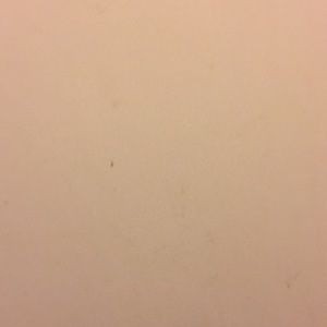 Meet your Posher, Tyrone